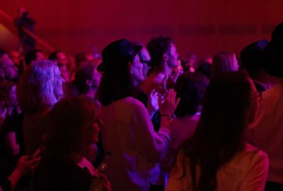 58 - Hans Pollner Bluesbriederchen Bild --5765.jpg